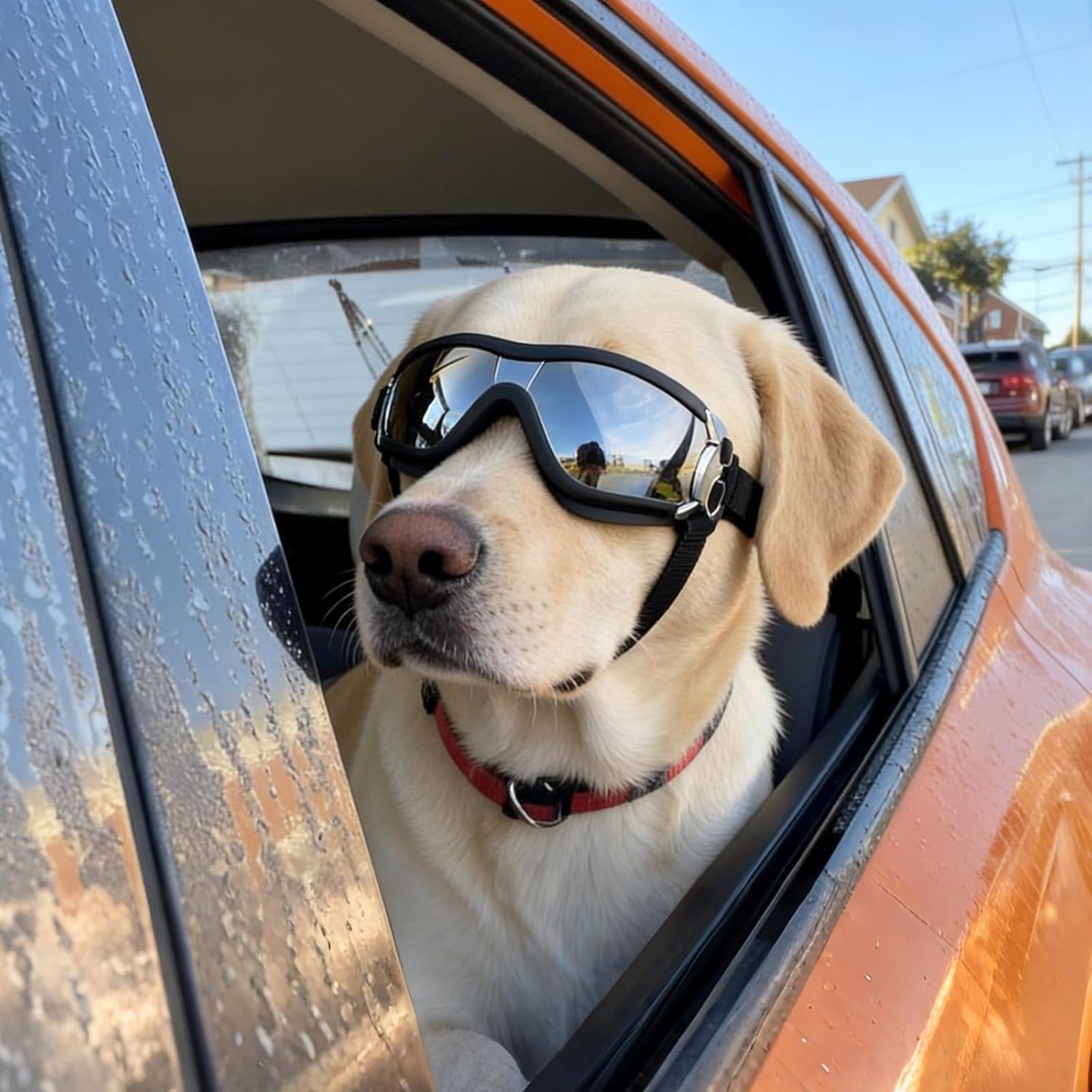 Large Breed Dog Goggles - Sunglasses for Eye Protection in Medium to Large Dogs, Ideal for Riding, Biking, and Driving, Black