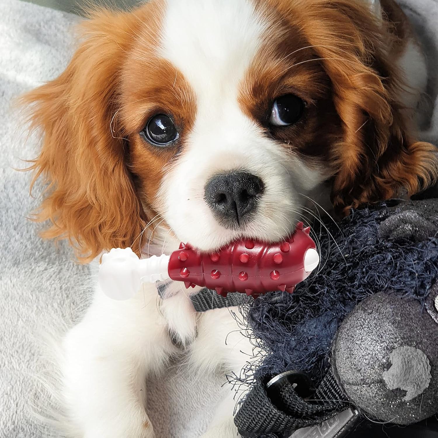 NA Durable Rubber Dental Chew Toy for Dogs - Nylon and Rubber Bone for Teething and Boredom Relief, Suitable for Large, Medium, and Small Puppies (Chicken Leg Design)