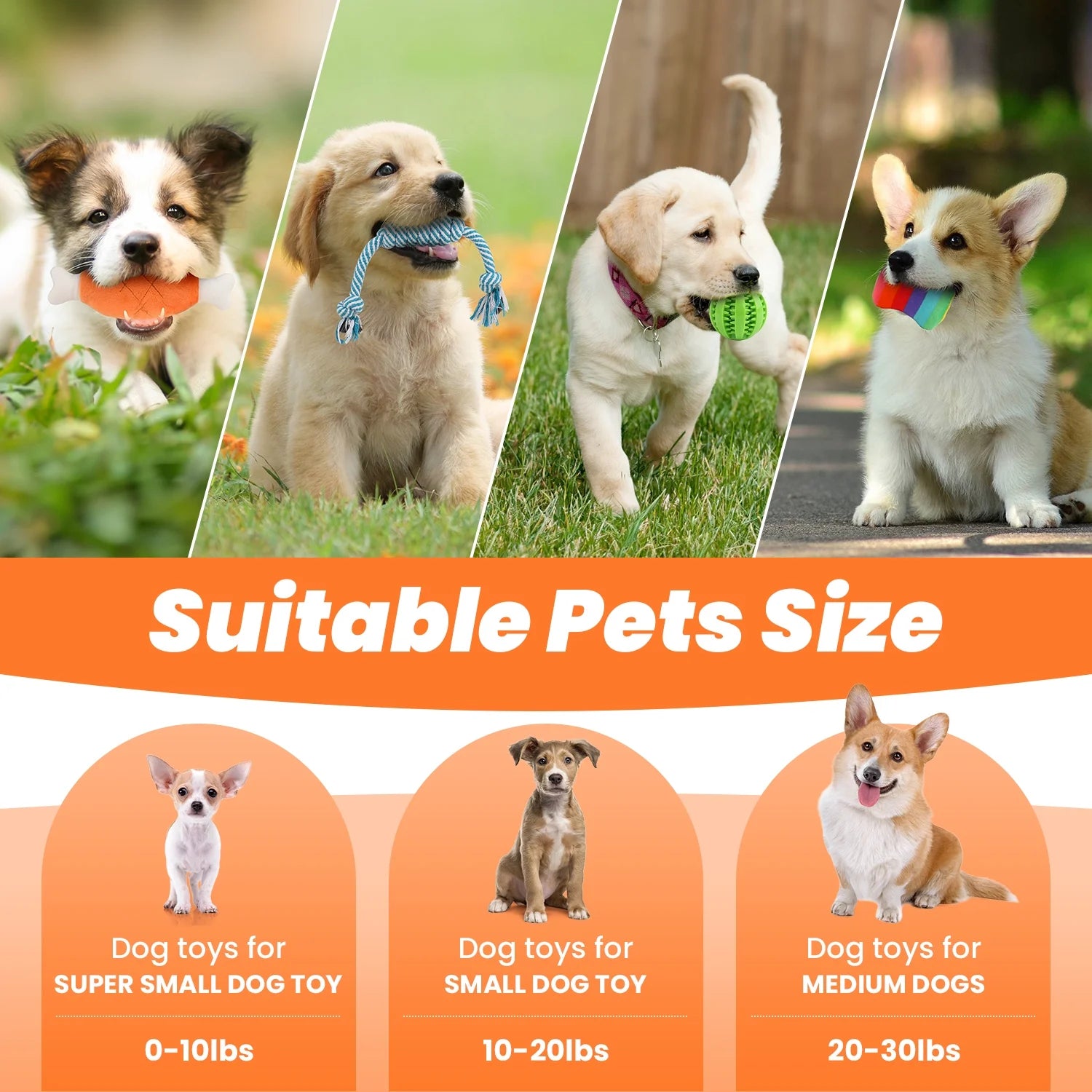 Small Dog Toy Set: 10-Pack of Plush Chew Toys, Squeaky Toys, Treat Balls, and Rope Toys for Teething and Training