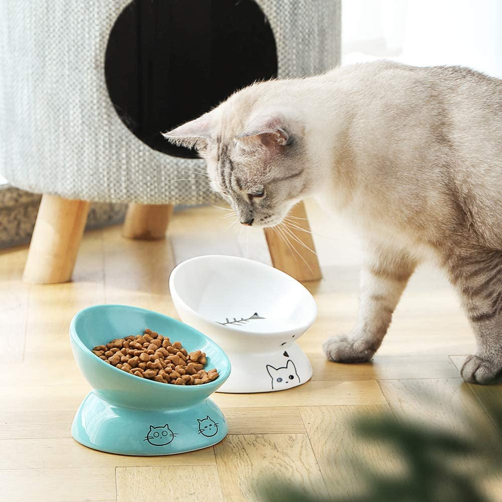 Elevated Ceramic Cat Bowls for Food and Water, Slanted Design for Spine Protection and Stress-Free Feeding (White)