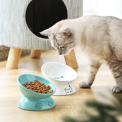 Elevated Ceramic Cat Bowls for Food and Water, Slanted Design for Spine Protection and Stress-Free Feeding (White)