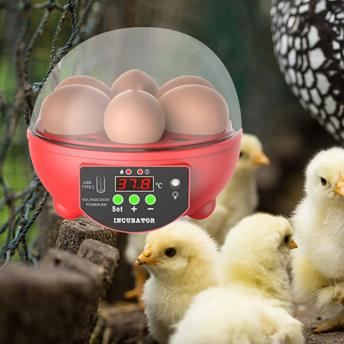 Automatic Digital Poultry Incubator with Egg Turner and Temperature Control for Chickens, Ducks, and Quail - 6 Egg Capacity
