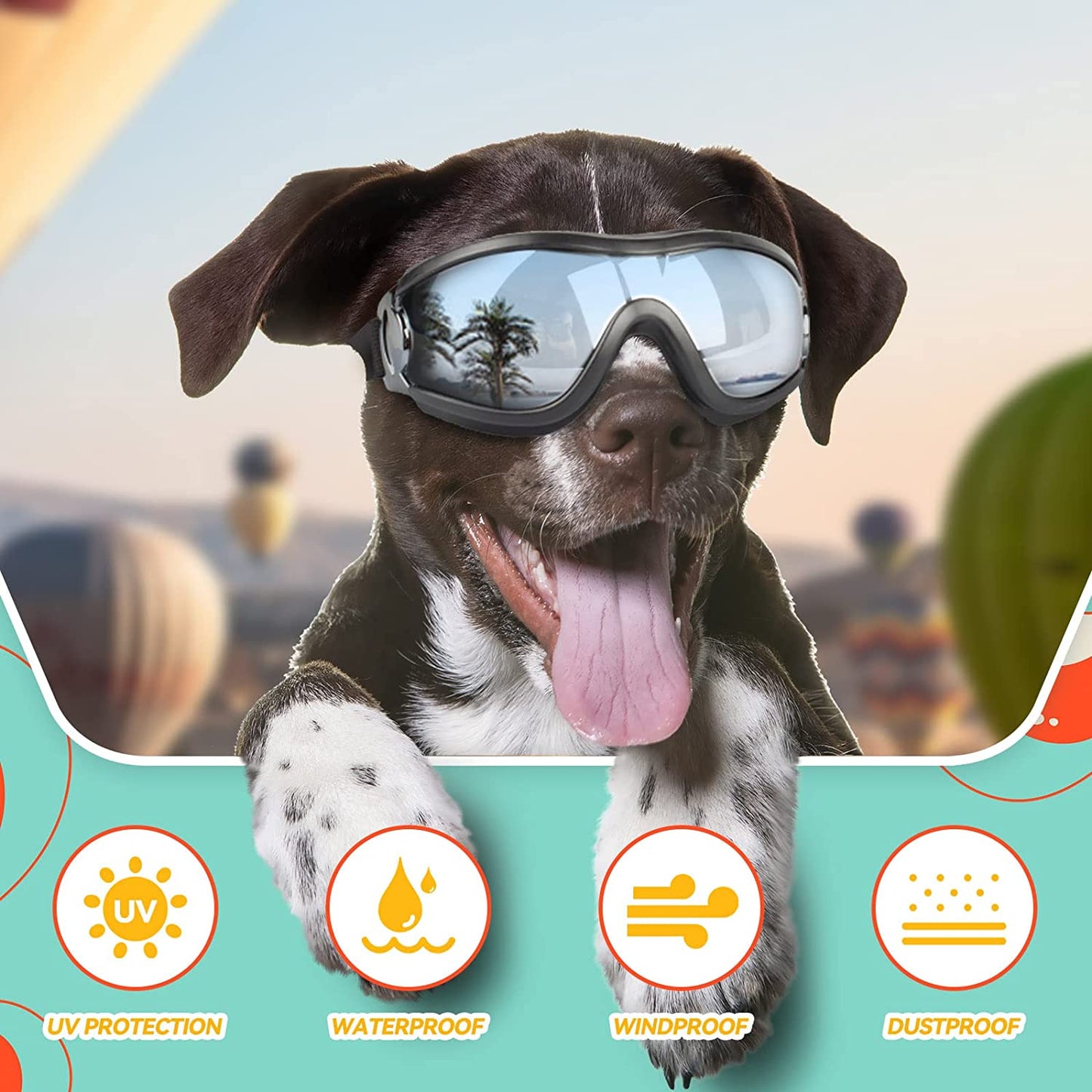 Large Breed Dog Goggles - Sunglasses for Eye Protection in Medium to Large Dogs, Ideal for Riding, Biking, and Driving, Black