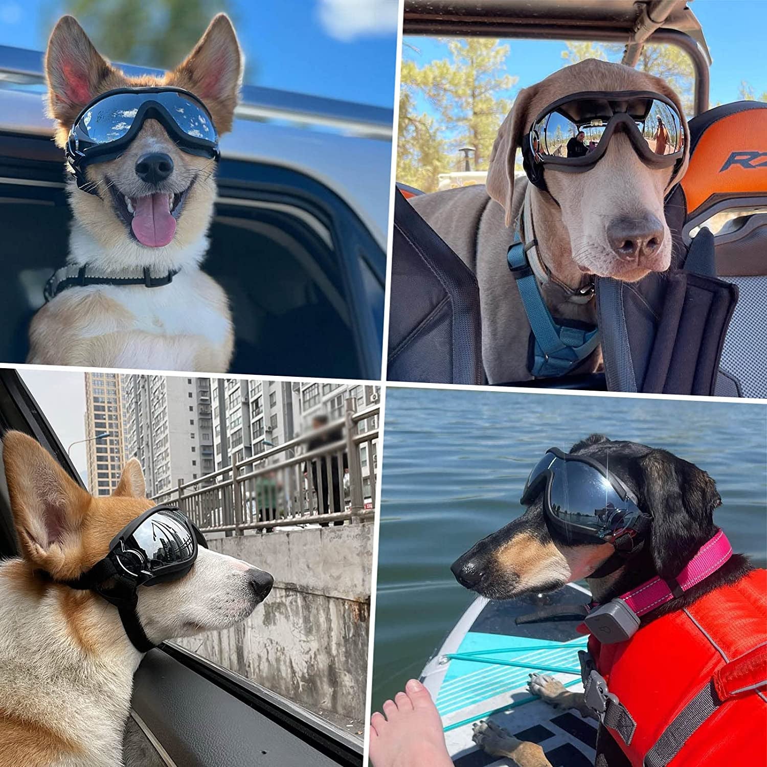 Large Breed Dog Goggles - Sunglasses for Eye Protection in Medium to Large Dogs, Ideal for Riding, Biking, and Driving, Black