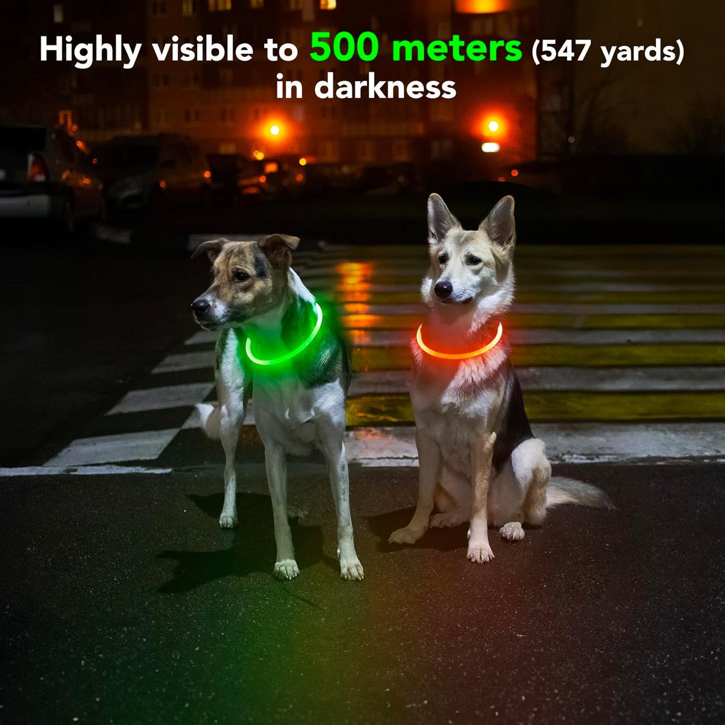 Rechargeable Waterproof LED Dog Collar - Adjustable Lighted Pet Collar for Small, Medium, and Large Dogs (Green)