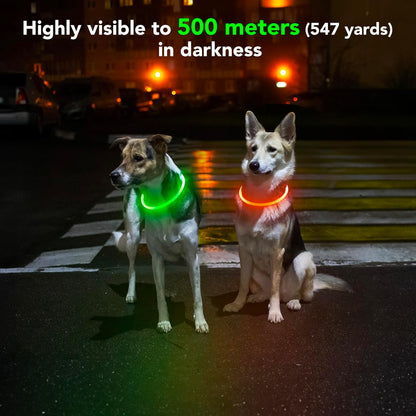 Rechargeable Waterproof LED Dog Collar - Adjustable Lighted Pet Collar for Small, Medium, and Large Dogs (Green)