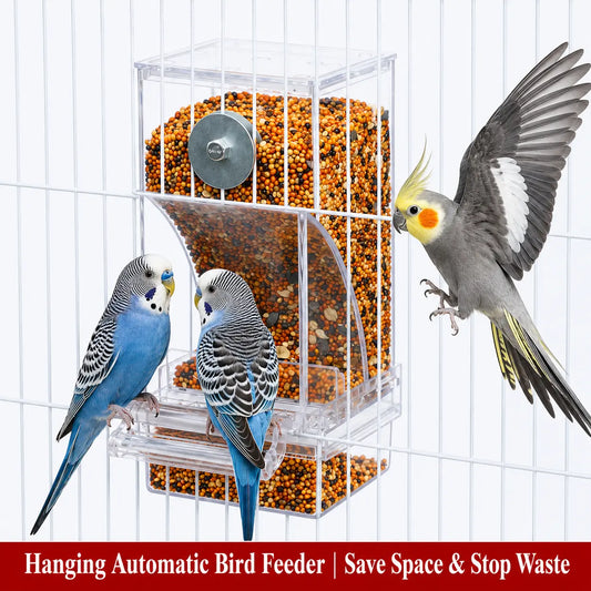 Enhanced Automatic Bird Feeder for Parrots, Cockatoos, and Canaries - Transparent Acrylic Food Dispenser, Durable and User-Friendly Feeding Station