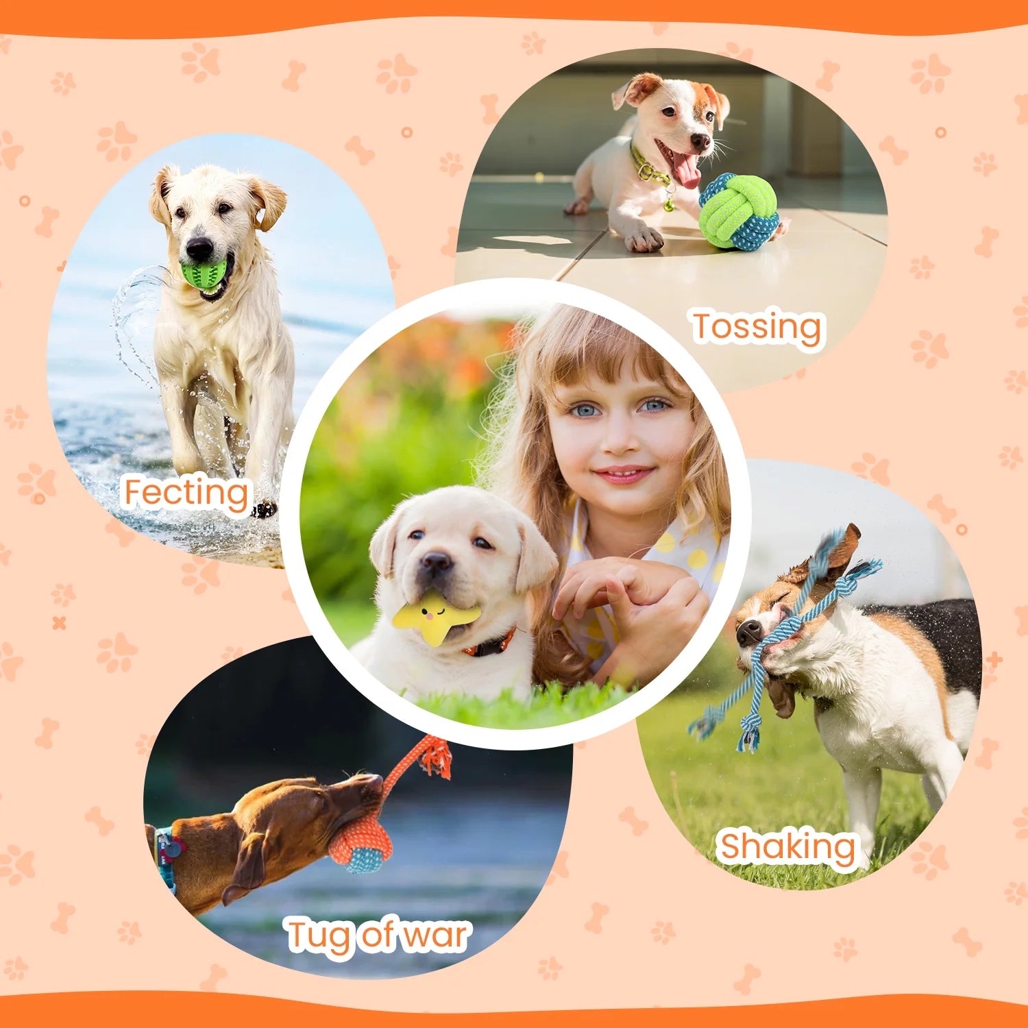 Small Dog Toy Set: 10-Pack of Plush Chew Toys, Squeaky Toys, Treat Balls, and Rope Toys for Teething and Training