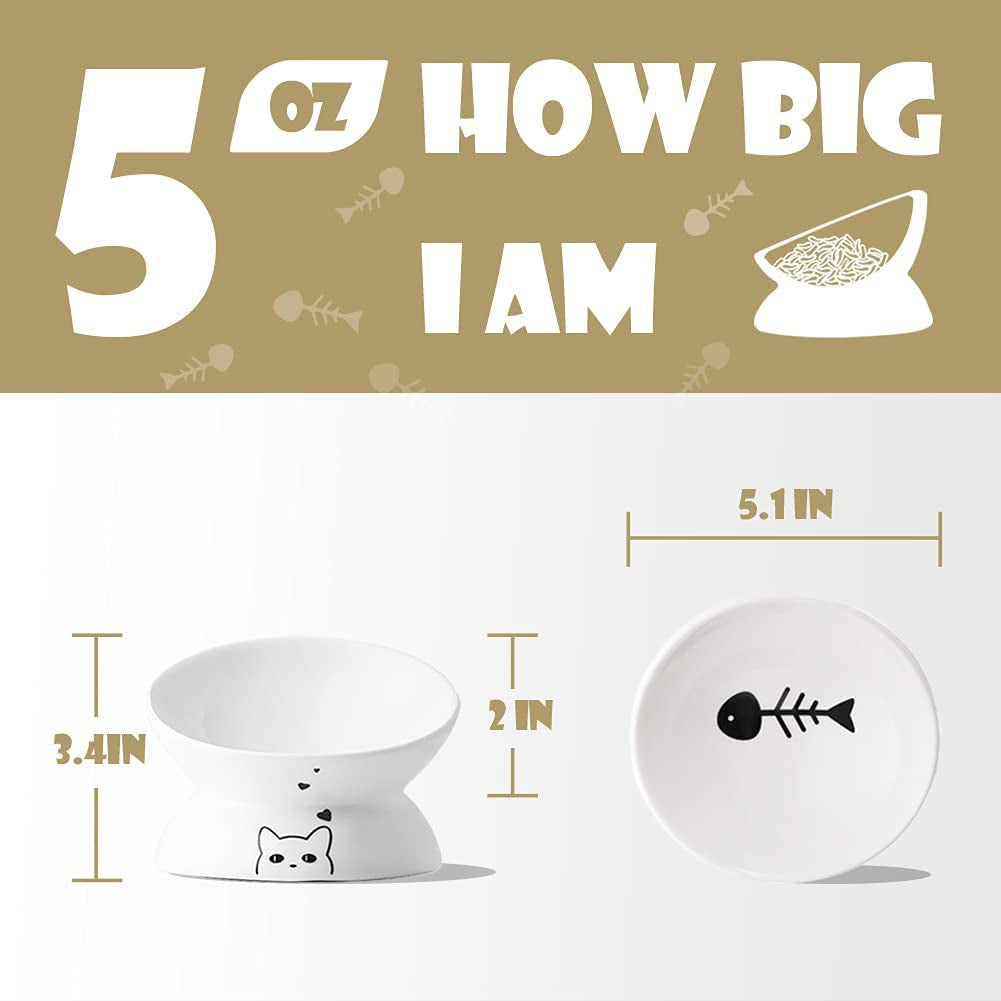 Elevated Ceramic Cat Bowls for Food and Water, Slanted Design for Spine Protection and Stress-Free Feeding (White)