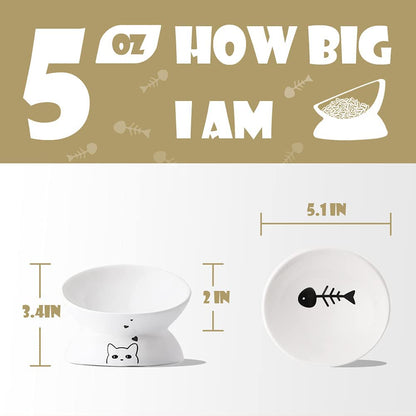 Elevated Ceramic Cat Bowls for Food and Water, Slanted Design for Spine Protection and Stress-Free Feeding (White)