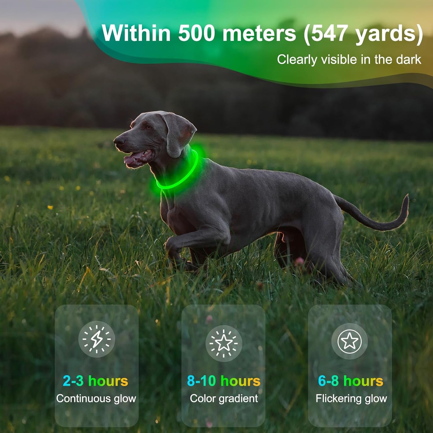 Rechargeable Waterproof LED Dog Collar - Adjustable Lighted Pet Collar for Small, Medium, and Large Dogs (Green)