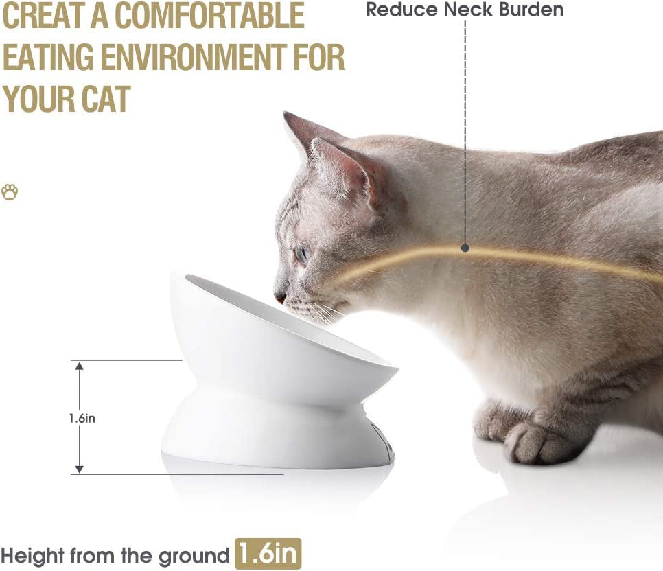 Elevated Ceramic Cat Bowls for Food and Water, Slanted Design for Spine Protection and Stress-Free Feeding (White)