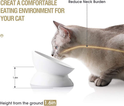 Elevated Ceramic Cat Bowls for Food and Water, Slanted Design for Spine Protection and Stress-Free Feeding (White)