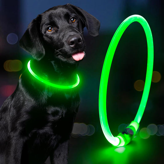Rechargeable Waterproof LED Dog Collar - Adjustable Lighted Pet Collar for Small, Medium, and Large Dogs (Green)