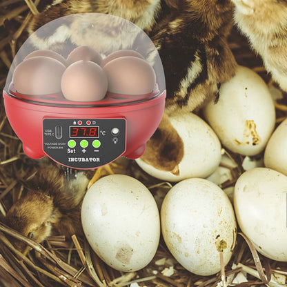 Automatic Digital Poultry Incubator with Egg Turner and Temperature Control for Chickens, Ducks, and Quail - 6 Egg Capacity