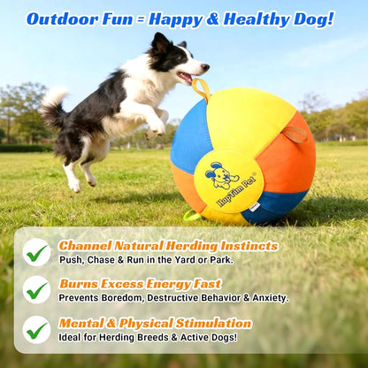 Hap Tim Interactive Herding Ball for Dogs - Durable Outdoor Training Toy for Medium to Large Breeds, Including Corgis, Australian Shepherds, Cattle Dogs, and Border Collies (Not Suitable for Aggressive Chewers)