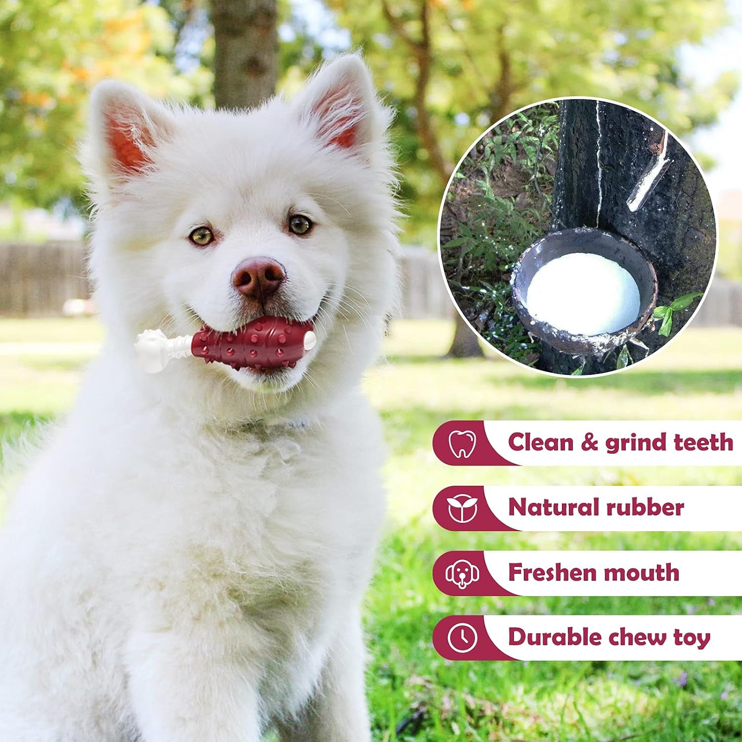 NA Durable Rubber Dental Chew Toy for Dogs - Nylon and Rubber Bone for Teething and Boredom Relief, Suitable for Large, Medium, and Small Puppies (Chicken Leg Design)