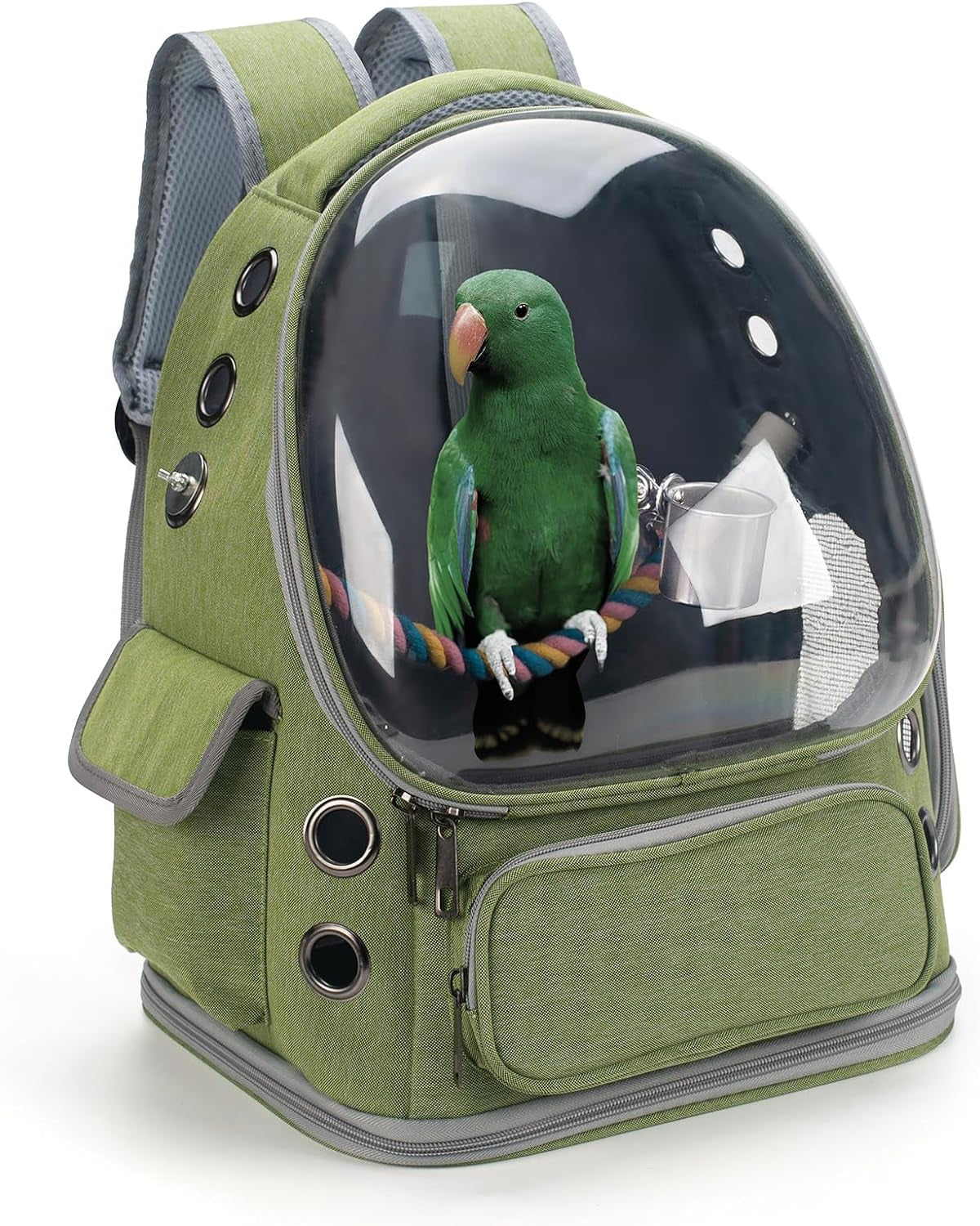 Bird Travel Carrier Backpack with Perch, Tray, and Ventilated Clear Window - Ideal for Cockatiels, Caiques, Conures, and Quakers - Perfect for Veterinary Visits, Camping, and Hiking (Green)