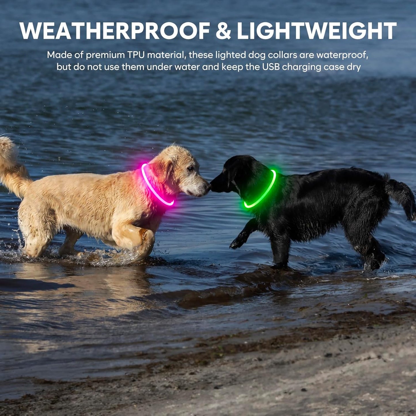 Rechargeable Waterproof LED Dog Collar - Adjustable Lighted Pet Collar for Small, Medium, and Large Dogs (Green)