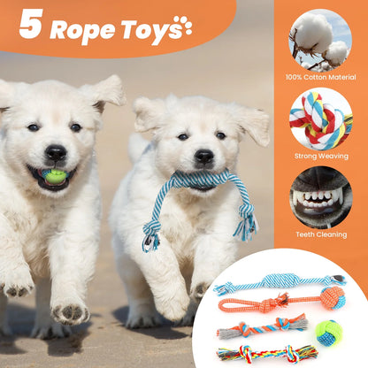 Small Dog Toy Set: 10-Pack of Plush Chew Toys, Squeaky Toys, Treat Balls, and Rope Toys for Teething and Training