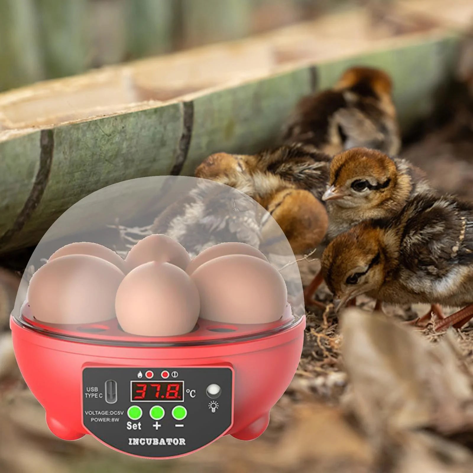 Automatic Digital Poultry Incubator with Egg Turner and Temperature Control for Chickens, Ducks, and Quail - 6 Egg Capacity