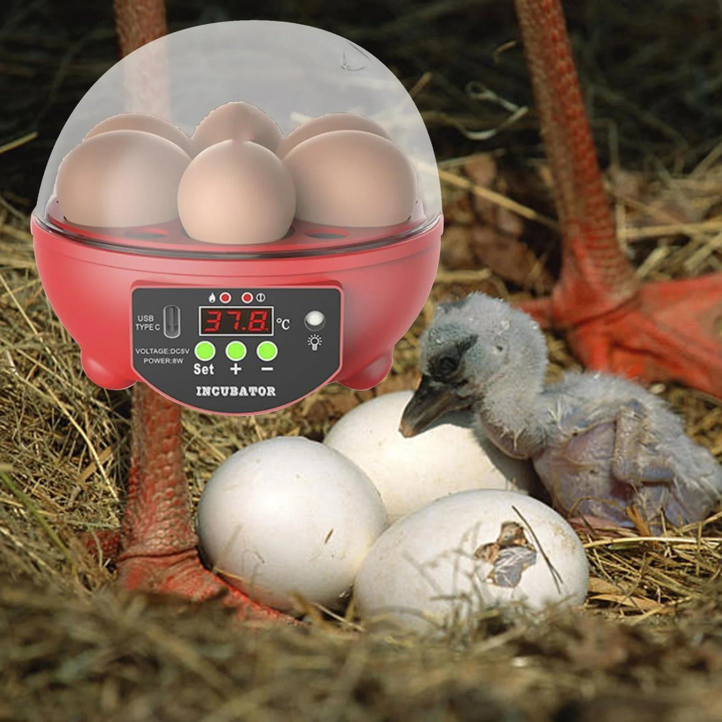 Automatic Digital Poultry Incubator with Egg Turner and Temperature Control for Chickens, Ducks, and Quail - 6 Egg Capacity