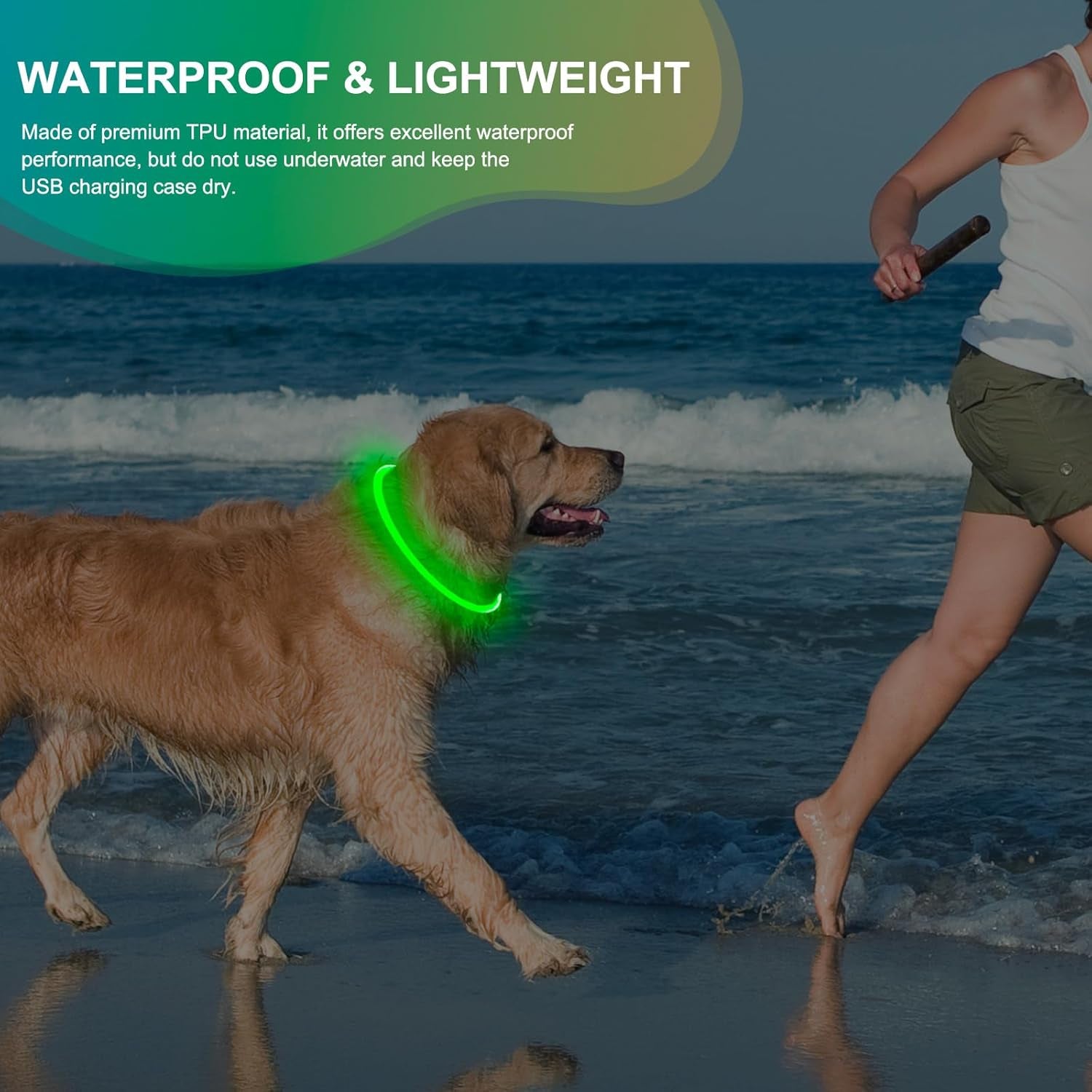 Rechargeable Waterproof LED Dog Collar - Adjustable Lighted Pet Collar for Small, Medium, and Large Dogs (Green)