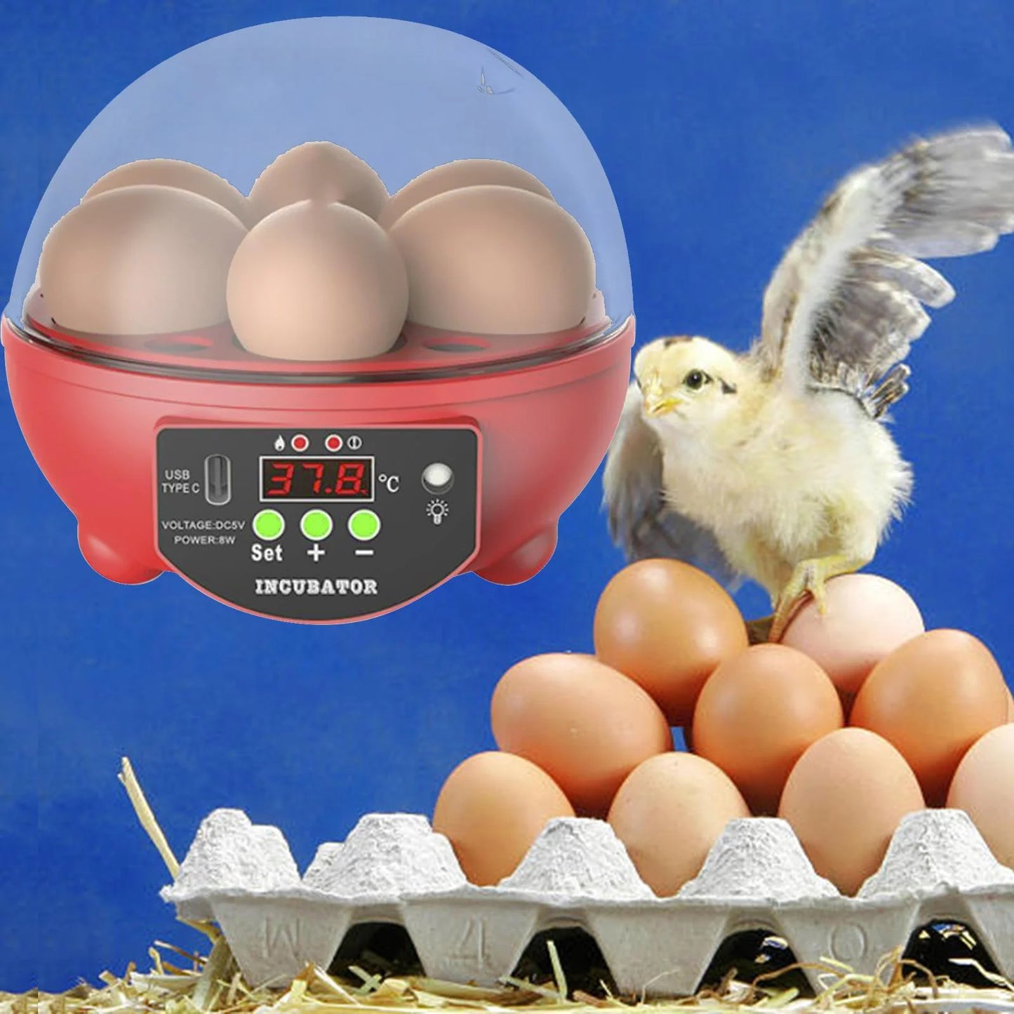 Automatic Digital Poultry Incubator with Egg Turner and Temperature Control for Chickens, Ducks, and Quail - 6 Egg Capacity
